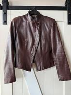 Prachtig chocoladebruin leren jasje van Pauw, maat 3, Kleding | Dames, Maat 38/40 (M), Bruin, Pauw, Ophalen of Verzenden