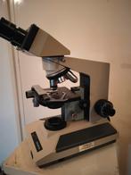 Olympus BH2 binoculair, Ophalen of Verzenden, Gebruikt, Minder dan 400x, Stereomicroscoop