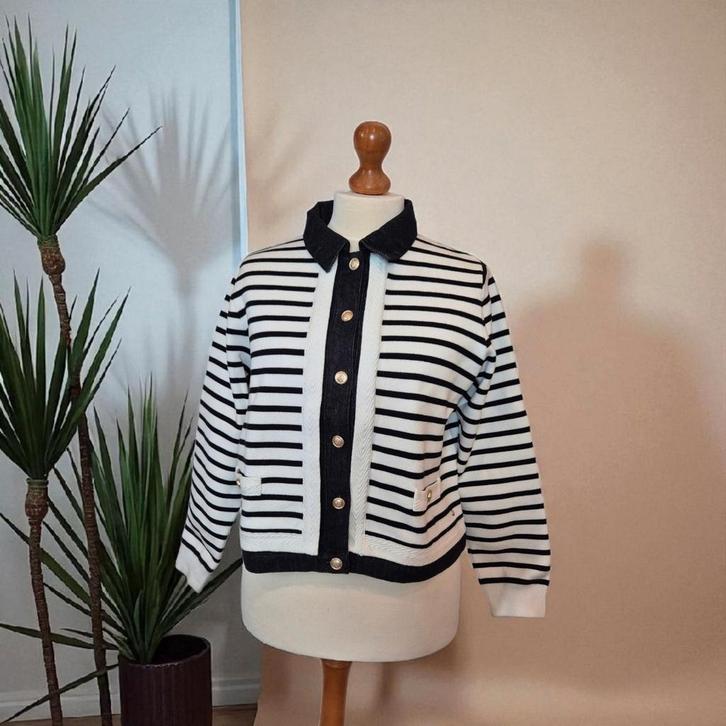 STUDIO ANNELOES NORELLI stripe denim jacket mt XL, Kleding | Dames, Jasjes, Kostuums en Pakken, Nieuw, Jasje, Maat 46/48 (XL) of groter