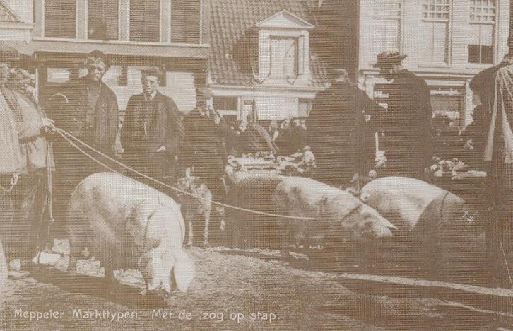 MEPPEL Markttypen met de Zog op Pad Reprint, Verzamelen, Ansichtkaarten | Nederland, Ongelopen, Drenthe, 1980 tot heden, Verzenden