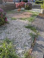 tuingrind GRATIS (onkruid word nog verwijderd), Tuin en Terras, Grind, Keien en Split, Ophalen, Overige materialen, Zo goed als nieuw