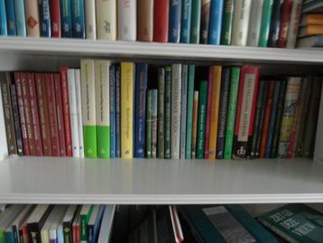Tjeologische boeken uitgegeven bij de Banier (gebonden) beschikbaar voor biedingen