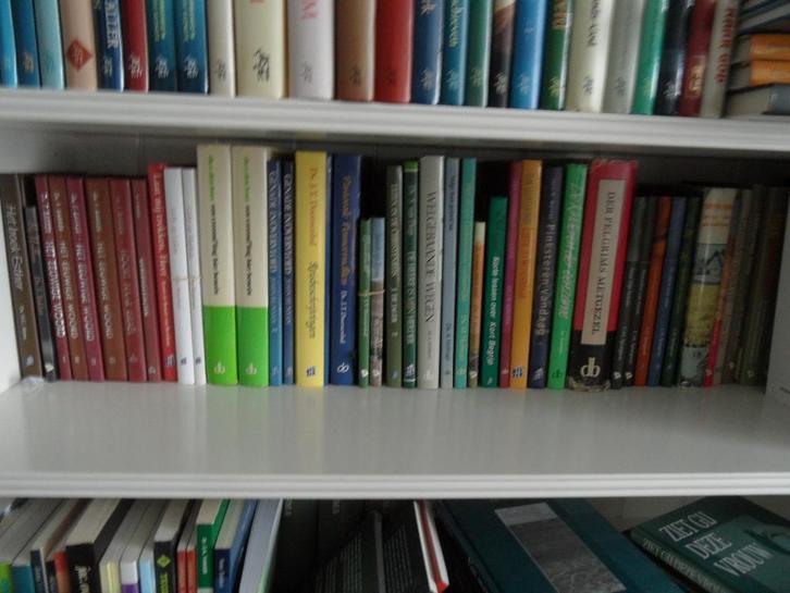 Tjeologische boeken uitgegeven bij de Banier (gebonden), Boeken, Godsdienst en Theologie, Gelezen, Christendom | Protestants, Ophalen of Verzenden
