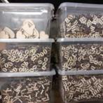 houten letters, Ophalen of Verzenden, Nieuw, Knutselwerk