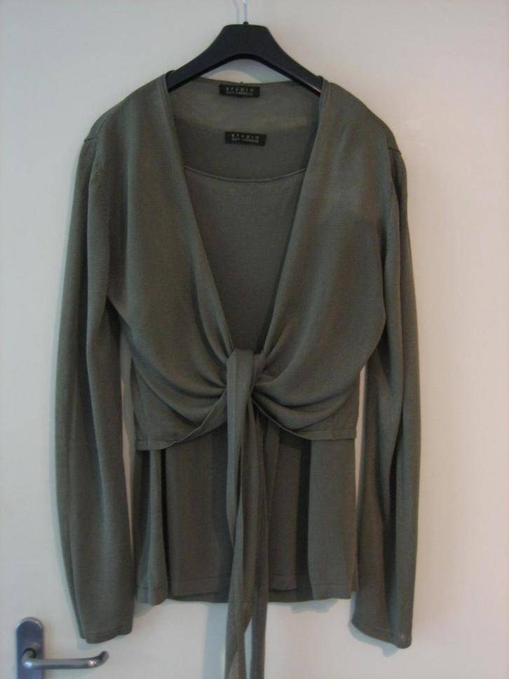 Chique cache-coeur (met top) STUDIO GUY LAROCHE, L snazzeys, Kleding | Dames, Truien en Vesten, Nieuw, Maat 42/44 (L), Beige, Verzenden