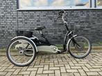 Elektrische Van Raam Maxi comfort lage instap, Ophalen of Verzenden
