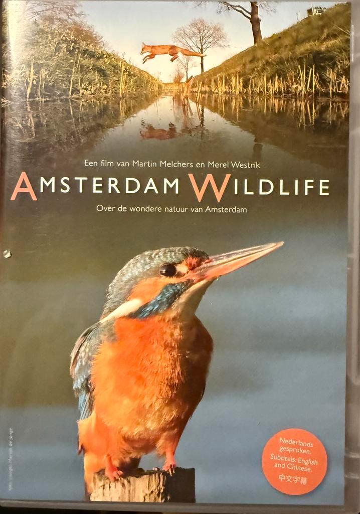 Amsterdam wildlife dvd, Cd's en Dvd's, Dvd's | Documentaire en Educatief, Zo goed als nieuw, Natuur, Alle leeftijden, Ophalen of Verzenden