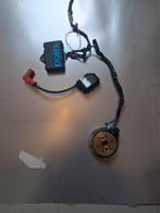 Binnenrotor ontsteking Polini voor Derbi, Ophalen of Verzenden, Nieuw