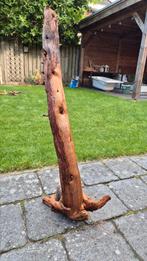 Kienhout 28, Dieren en Toebehoren, Vissen | Aquaria en Toebehoren, Ophalen, Zo goed als nieuw, Plant(en), Steen of Hout
