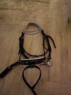 Glanz hoofdstel cob, Dieren en Toebehoren, Paarden en Pony's | Hoofdstellen en Tuigage, Ophalen of Verzenden, Zo goed als nieuw