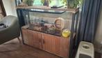 Queenies hamster terrarium, Dieren en Toebehoren, Knaagdieren en Konijnen | Hokken en Kooien, Gebruikt, 75 tot 110 cm, Ophalen