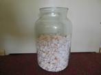 Witte decoratieschelpen strand hobbyschelpen, Ophalen of Verzenden, Nieuw, Materiaal