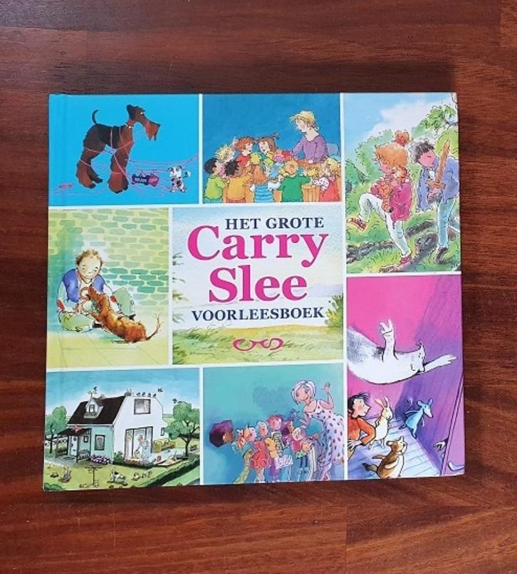 HET GROTE CARRY SLEE VOORLEESBOEK, Boeken, Kinderboeken | Jeugd | onder 10 jaar, Zo goed als nieuw, Non-fictie, Ophalen of Verzenden