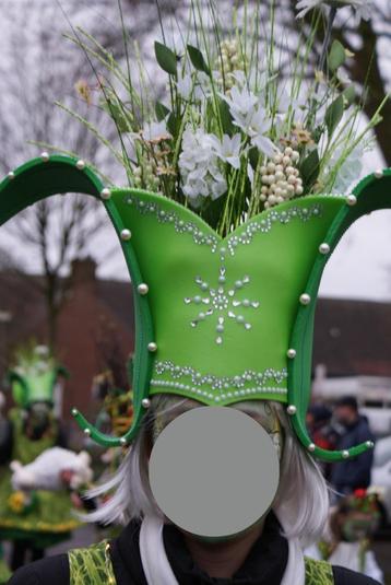 Carnavalshoed beschikbaar voor biedingen
