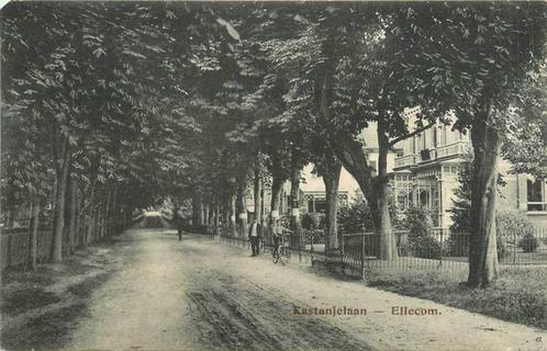 (380-806-017) Ellecom Kastanjelaan, Verzamelen, Ansichtkaarten | Nederland, Gelderland, Verzenden