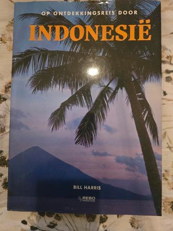 Reisgids Indonesië - Ontdek het paradijs! beschikbaar voor biedingen