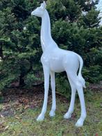 Witte Giraf giraffe beeld tuin kunst, Tuin en Terras, Tuinbeelden, Ophalen, Nieuw, Kunststof, Dierenbeeld