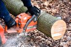 Ik doe bomen weg, Minder dan 3 m³, Ophalen of Verzenden