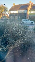 Snoei afval ophalen aub, Ophalen, Gebruikt, Minder dan 10 meter