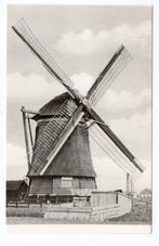 ZAANDAM - Molen - K. Tanger - Reproductie, Verzenden, Ongelopen, Noord-Holland