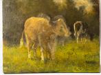 Evert Rabbers schilderij op hout, Antiek en Kunst, Ophalen of Verzenden