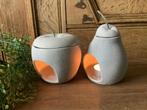NIEUW set geurbranders appel en peer voor wax melt en olie, Ophalen of Verzenden, Nieuw