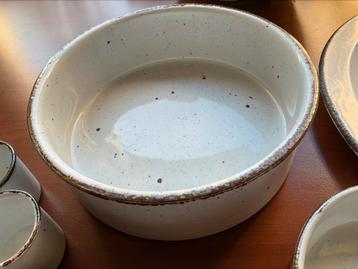 Wedgwood midwinter creation : open salade-/serveerschaal beschikbaar voor biedingen