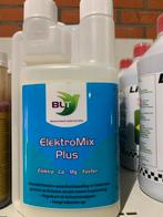 Duivenvoer, Ophalen of Verzenden, Vogel