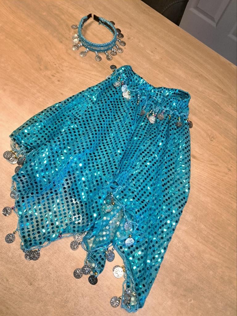 Buikdans Carnaval Kostuum met Rinkeltjes, Gebruikt, Jongen of Meisje, One size, Ophalen of Verzenden