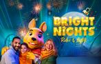 4 tickets Walibi Bright Nights voor vandaag tot 20:00, Drie personen of meer, Ticket of Toegangskaart