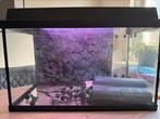 Juwel 60 liter aquarium, Dieren en Toebehoren, Vissen | Aquaria en Toebehoren, Ophalen, Gebruikt, Leeg aquarium