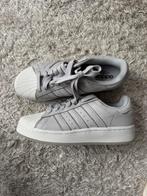 Adidas superstars, Kleding | Heren, Schoenen, Ophalen, Overige kleuren, Nieuw, Sneakers of Gympen