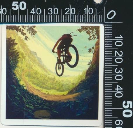 Sticker: Downhill (15), Verzamelen, Stickers, Zo goed als nieuw, Bedrijf of Vereniging, Ophalen of Verzenden