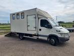 Iveco Daily 35-/40C9 - paardenwagen, Auto's, Achterwielaandrijving, 4 cilinders, Iveco, 2920 kg