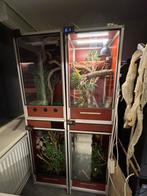4 terrariums inclusief thermostaten, lampen enz., Dieren en Toebehoren, Reptielen en Amfibieën | Toebehoren, Ophalen, Zo goed als nieuw