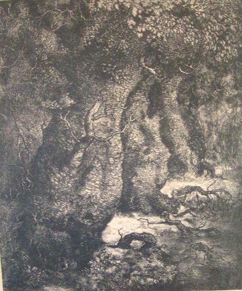 Hubert een potlood tekening uit 1930 " het Woud " bij Bavel, Antiek en Kunst, Kunst | Tekeningen en Foto's, Ophalen of Verzenden