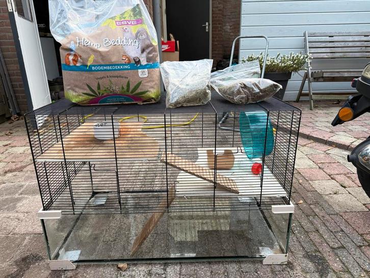 Hamsterkooi met glas, Dieren en Toebehoren, Knaagdieren en Konijnen | Hokken en Kooien, Gebruikt, Hok, 60 tot 90 cm, 75 tot 110 cm