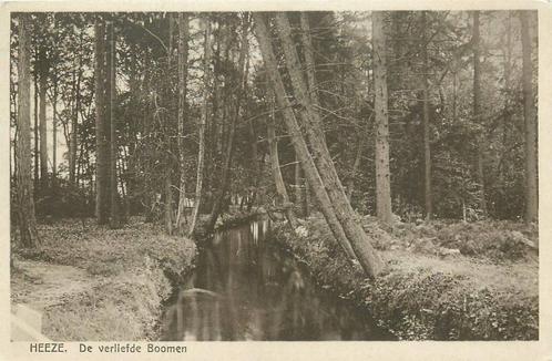 (388-566-037) Heeze De verliefde Boomen, Verzamelen, Ansichtkaarten | Nederland, Noord-Brabant, Verzenden