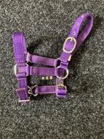 Mini veulen halstertje, Ophalen of Verzenden, Zo goed als nieuw, Overige soorten