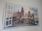 Harry Potter Hogwarts poster, Ophalen of Verzenden, Zo goed als nieuw, Boek of Poster