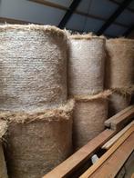 Te koop  midi balen hooi, Dieren en Toebehoren, Dierenvoeding, Ophalen of Verzenden, Vee