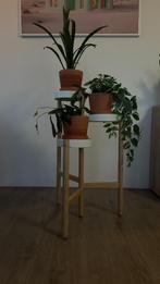 Plantenstandaard (IKEA SATSUMAS), Ophalen, Rond, Zo goed als nieuw, Binnen