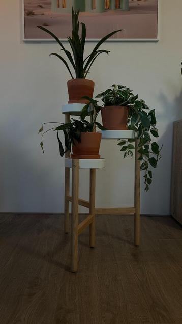 Plantenstandaard (IKEA SATSUMAS) beschikbaar voor biedingen