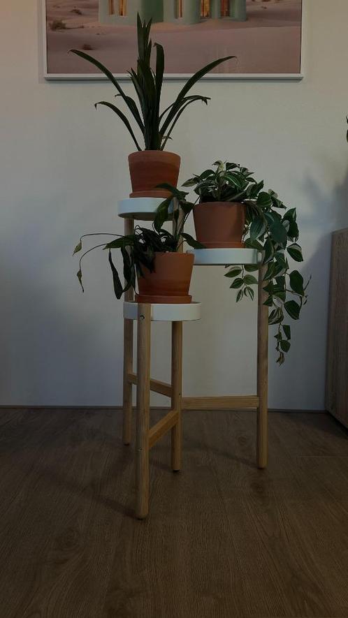 Plantenstandaard (IKEA SATSUMAS), Tuin en Terras, Bloembakken en Plantenbakken, Zo goed als nieuw, Hout, Binnen, 60 tot 100 cm