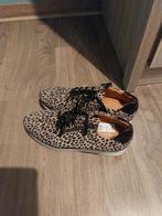 Linea Zeta sneakers maat 41, Kleding | Dames, Schoenen, Bruin, Nieuw, Ophalen of Verzenden, Sneakers of Gympen