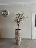 Bloesemboom in Schelpenvaas - Decoratie, Ophalen, Zo goed als nieuw, Binnen