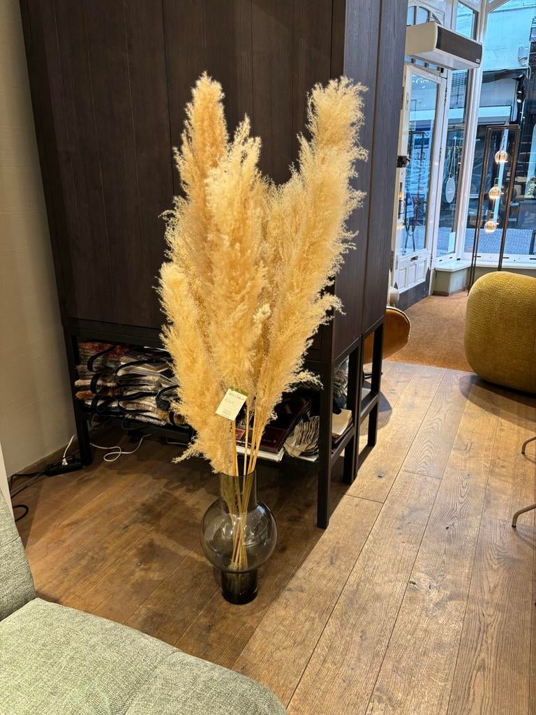 Pampasgras in vaas, Ophalen, Zo goed als nieuw