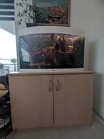 Juwel Vision 180 aquarium + kast + CO₂-set + vissen, Dieren en Toebehoren, Vissen | Aquaria en Toebehoren, Ophalen, Gevuld zoetwateraquarium