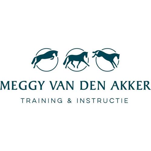 Paardrijles/instructrice aangeboden, Diensten en Vakmensen, Dieren | Paarden | Verzorging, Oppas en Les, Paardrijles of Ponykampen
