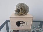 Imbue artist Death and Taxes Skull schedel, Ophalen